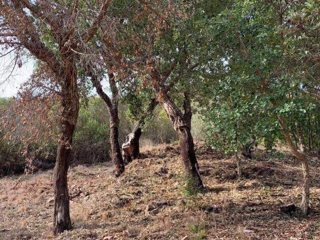 Terreno venda em Faro (Sé e São Pedro), Faro