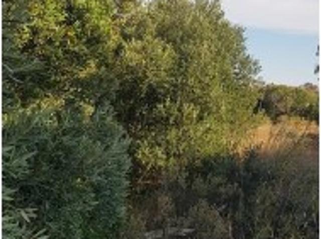Terreno venda em Albufeira
