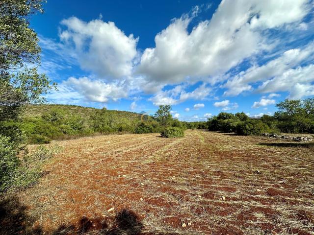 Quinta venda em Albufeira, Faro