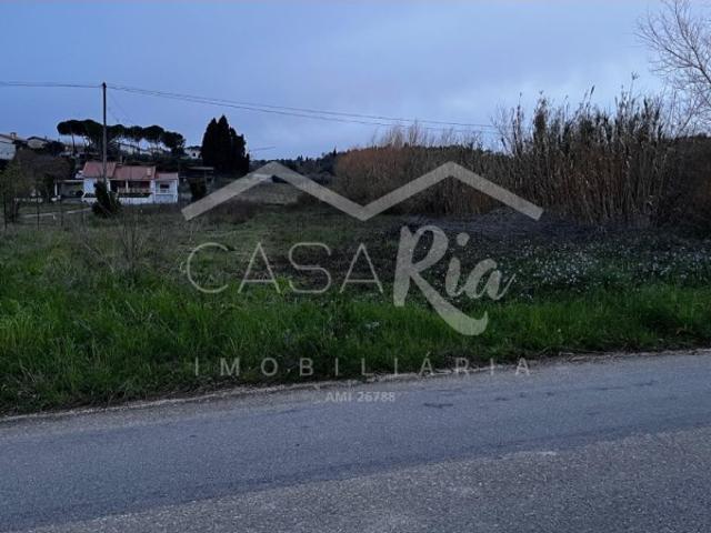 Terreno venda em Ventosa do Bairro, Mealhada