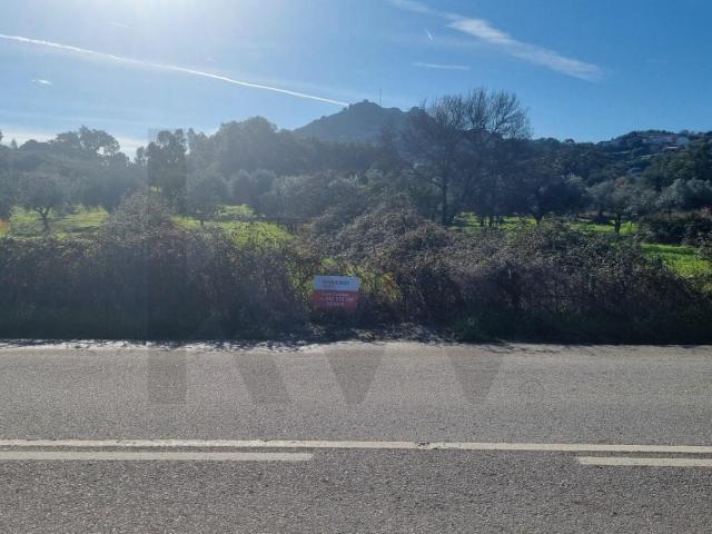 Terreno venda em Castelo Branco, Idanha-a-nova