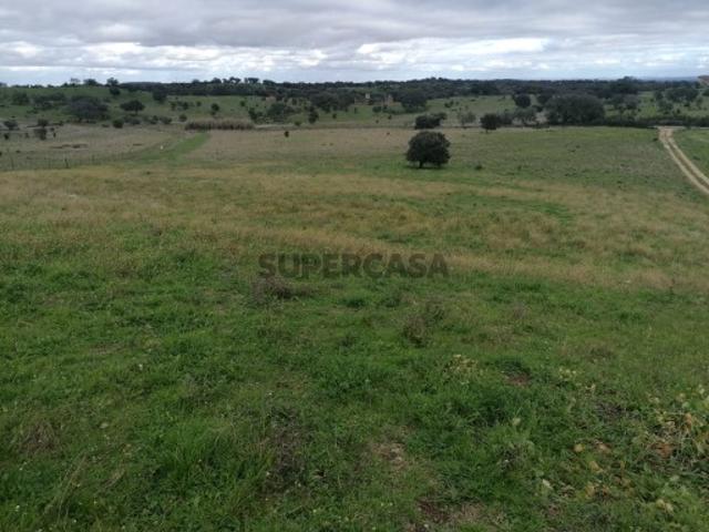 Terreno venda em Mosqueirões, Grândola