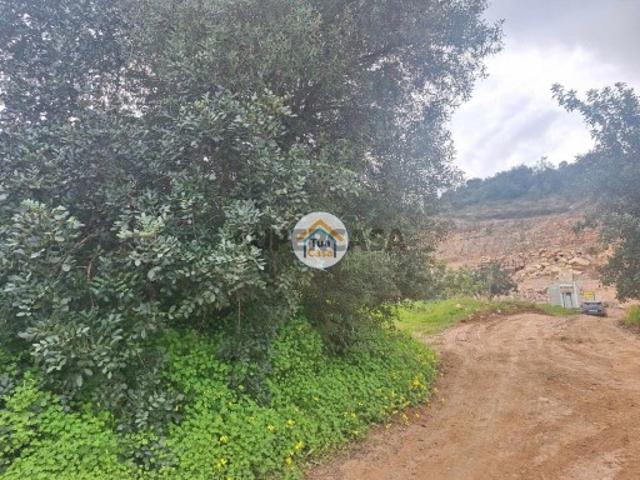 Terreno venda em São Brás De Alportel, Faro