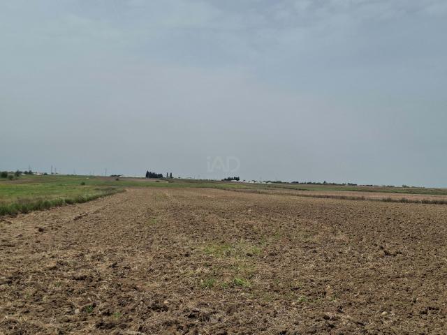 Casa Rural en venta en Ugena, Castilla-La Mancha