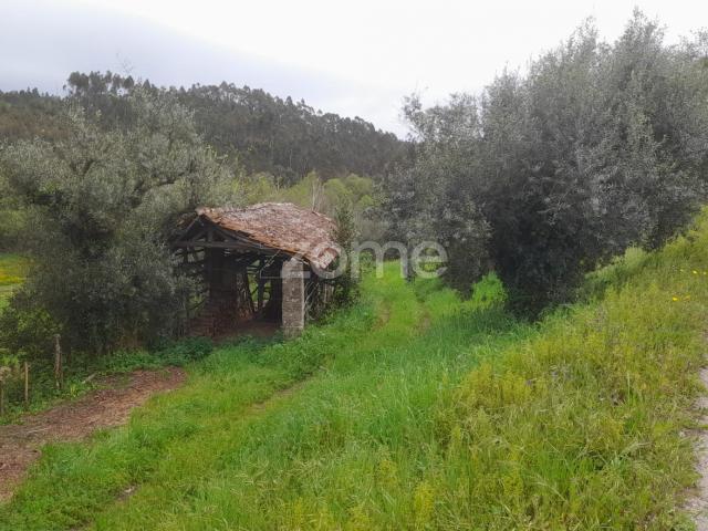 Terreno venda em Queitide, Soure