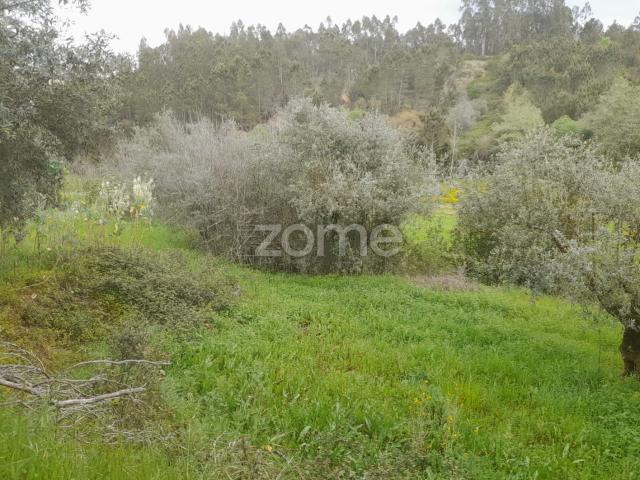 Terreno venda em Queitide, Soure