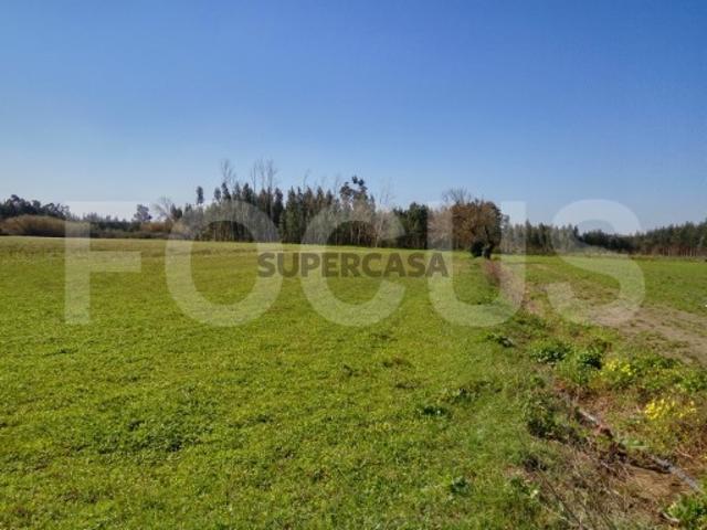 Terreno venda em Aveiro