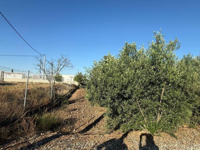 Terreno en venta en Bajo Guadalentín, Murcia