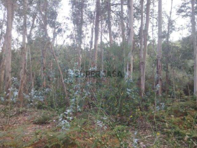 Terreno venda em Boalhosa, Viana Do Castelo
