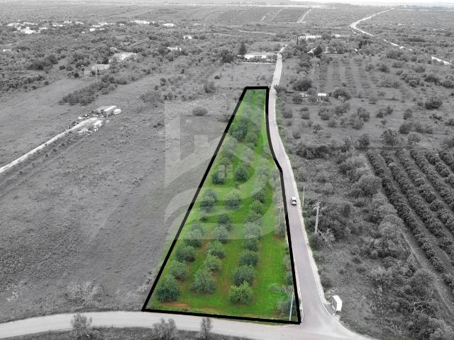Terreno venda em Mourição, São Bartolomeu De Messines