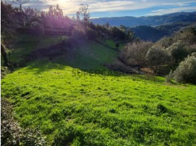 Terreno venda em Cabeceiras De Basto, Braga