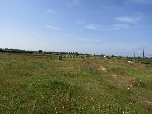 Terreno venda em Galé, Albufeira