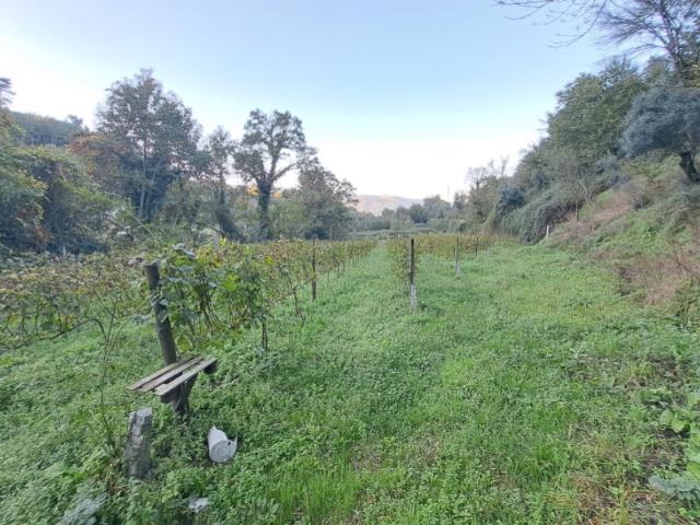 Terreno venda em Boalhosa, Viana Do Castelo
