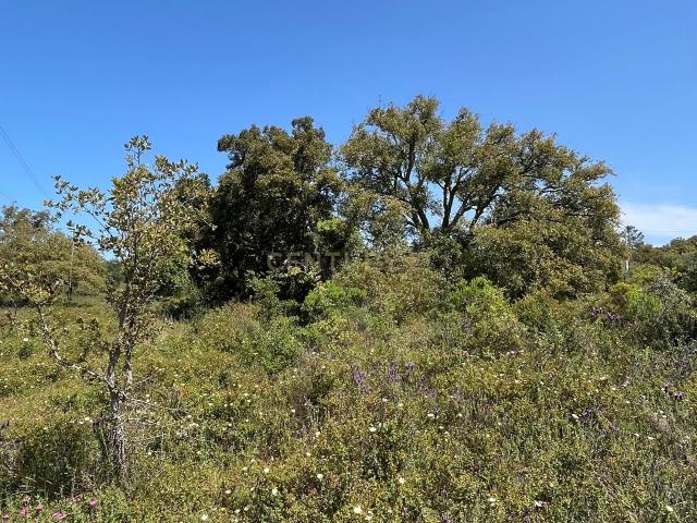 Terreno venda em Loulé, Faro