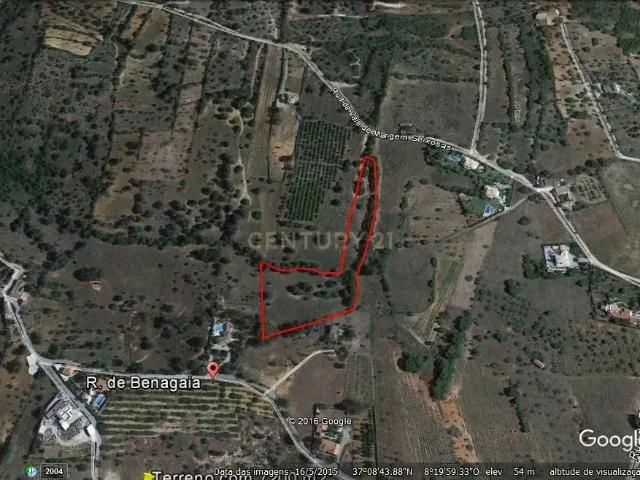 Terreno venda em Pêra