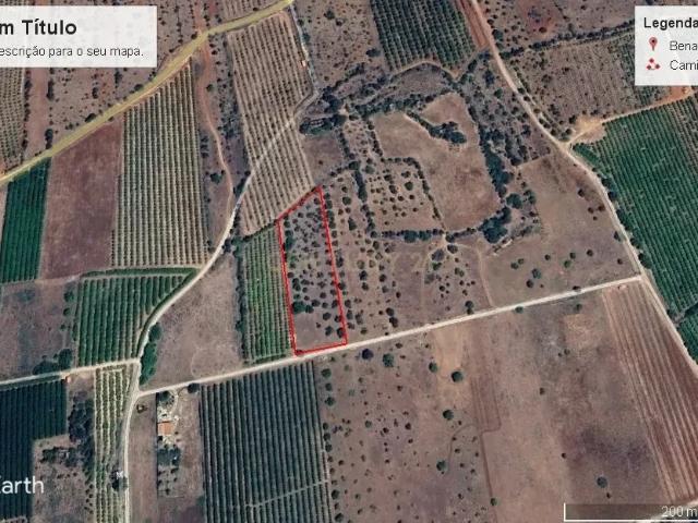 Terreno venda em São Bartolomeu De Messines, Faro