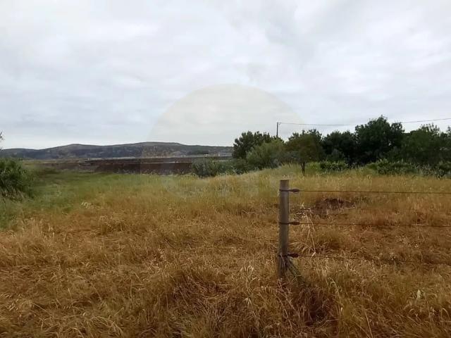 Terreno venda em Arripiado, Chamusca