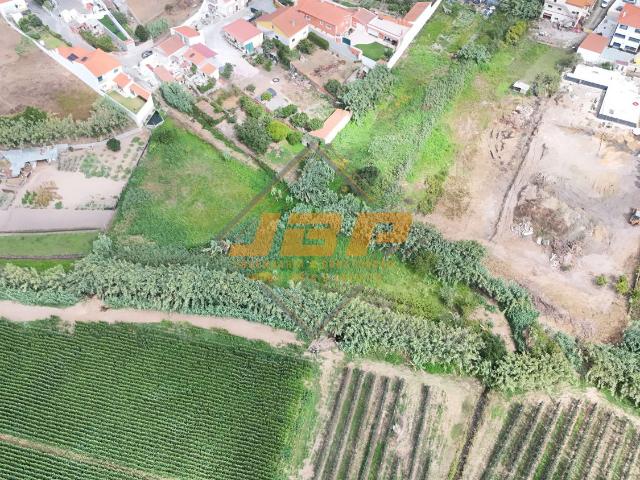 Terreno venda em Alcobaça, Leiria
