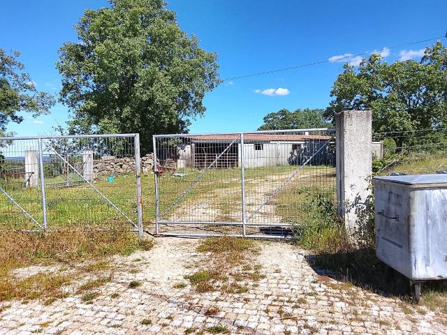 Terreno venda em Guarda, Pega