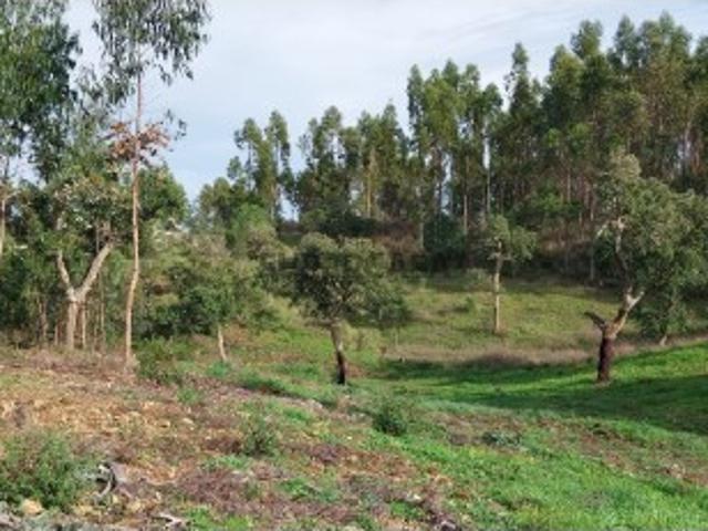 Terreno venda em Grândola, Setúbal