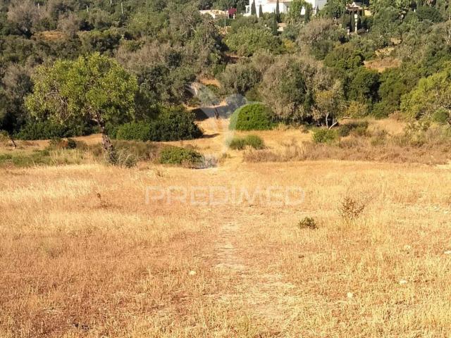 Terreno venda em Albufeira e Olhos de Água, Albufeira