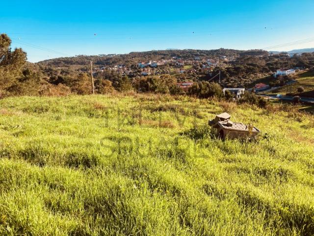 Terreno venda em Leiria