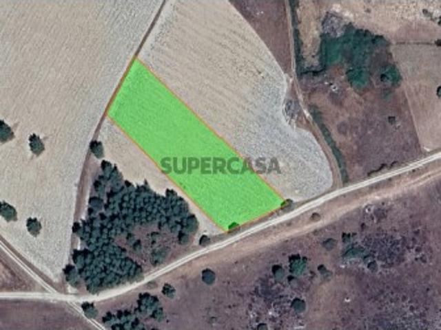 Terreno venda em Guarda, Almeida