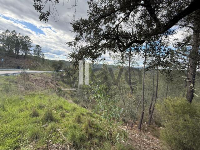 Terreno venda em Castelo Branco