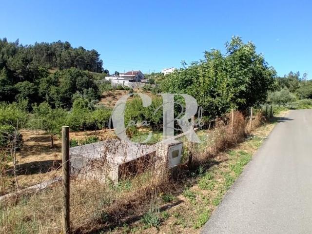 Terreno venda em Casal de Santarém, Figueiró Dos Vinhos