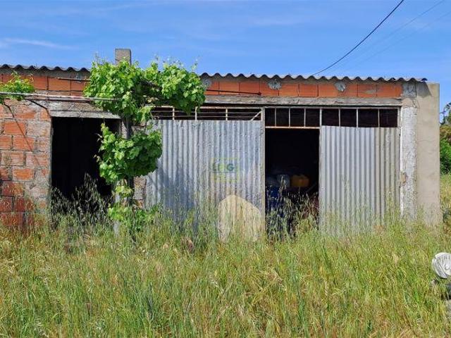 Terreno venda em Castelo Branco, Idanha-a-nova
