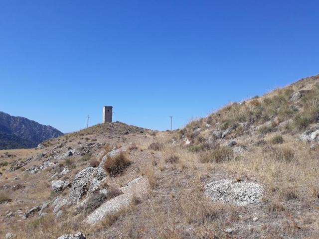 Terreno en venta en Comarca de la Vega de Granada, Andalucía