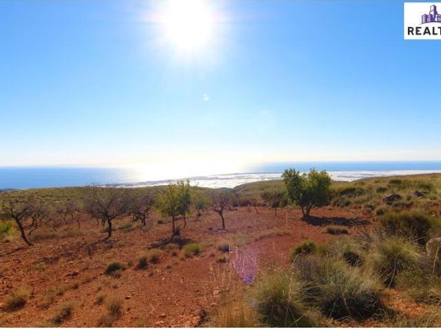 Local Comercial en venta en Felix, Andalucía