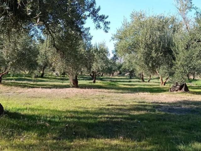 Terreno en venta en Comarca de Guadix, Andalucía