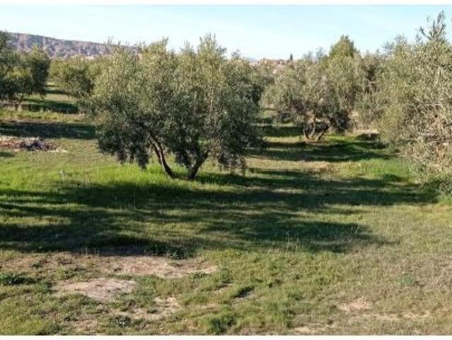 Local Comercial en venta en Comarca de Guadix, Andalucía