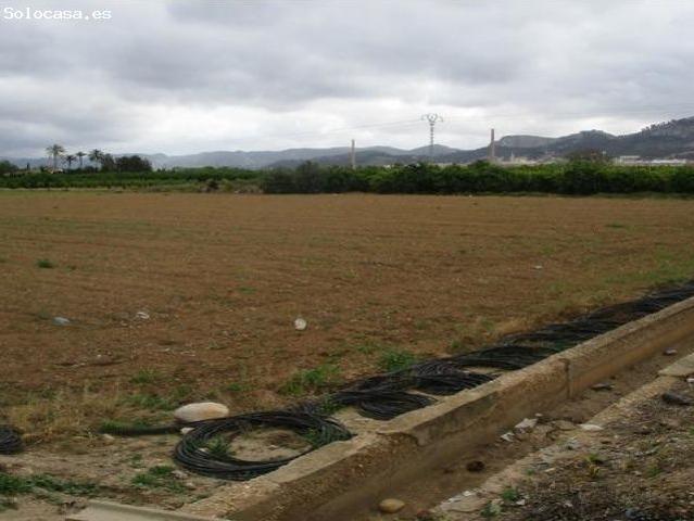 Local Comercial en venta en la Costera, Valencia