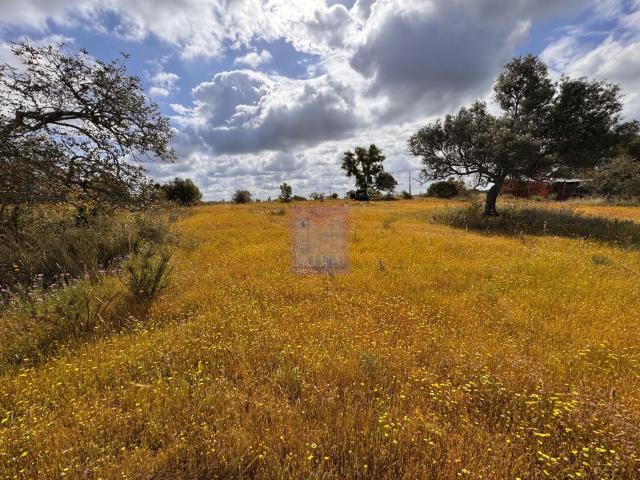 Terreno venda em Silves, Faro