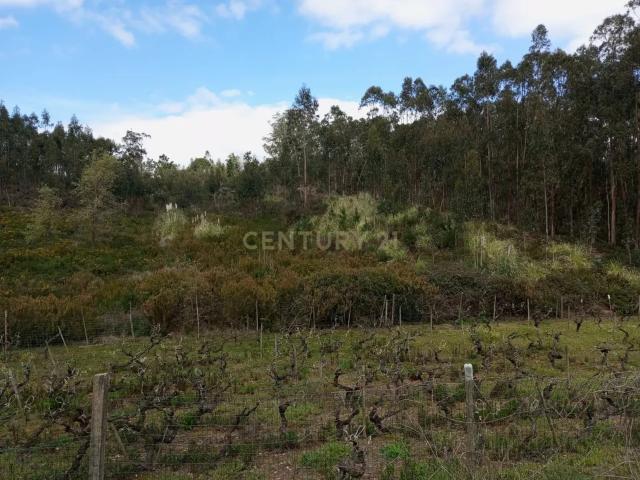Terreno venda em Cadaval, Vilar