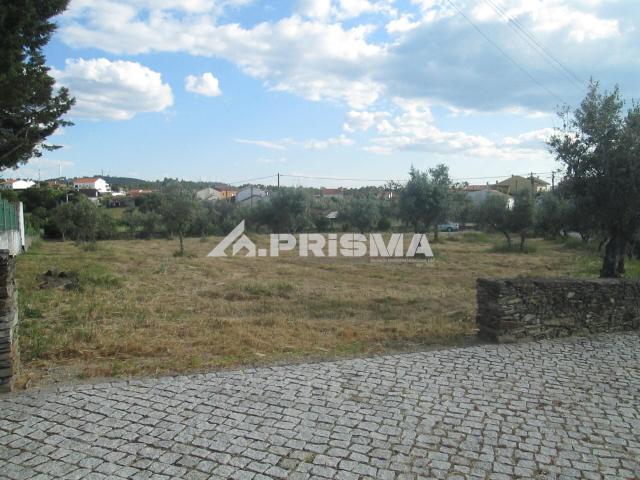 Terreno venda em Castelo Branco