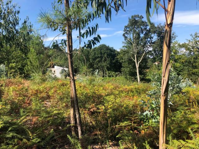 Terreno venda em Esposende, Braga