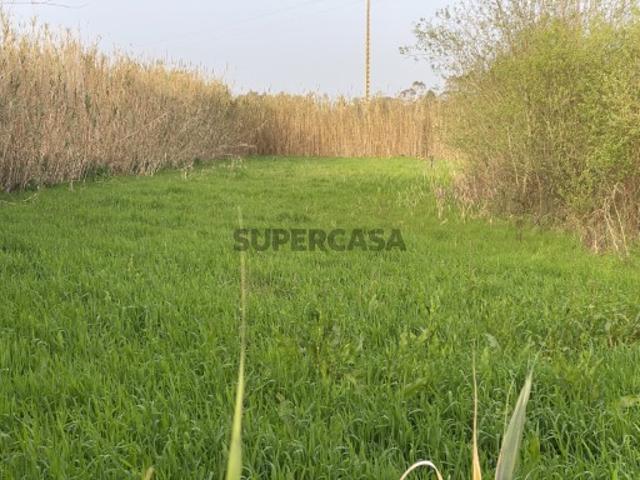 Terreno venda em Pederneira, Famalicão