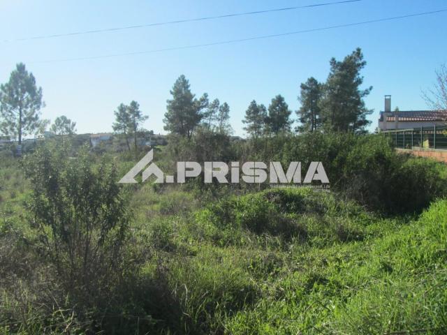 Terreno venda em Castelo Branco