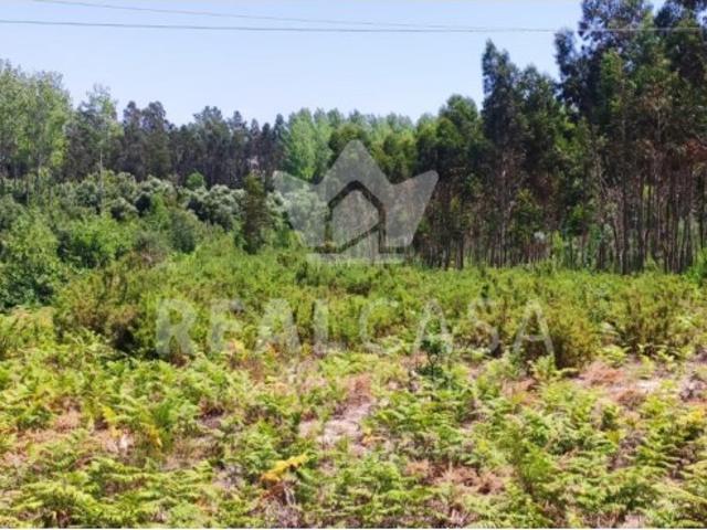 Terreno venda em Caravela, Leiria