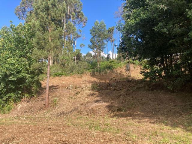 Terreno venda em Marecos, Porto