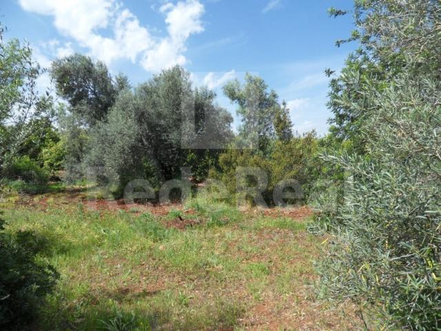 Terreno venda em Albufeira, Faro