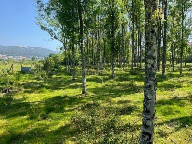 Terreno venda em Marecos, Porto