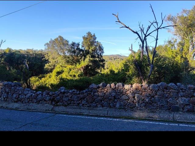 Terreno venda em Loulé, Faro