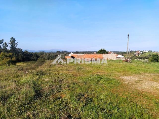 Terreno venda em Castelo Branco