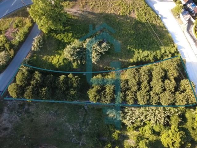 Terreno venda em Alcobaça, Leiria