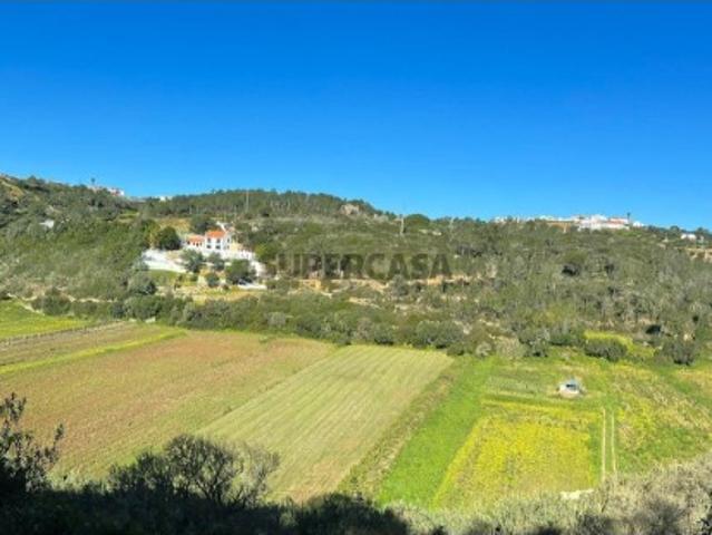 Terreno venda em Tomar, Santarém