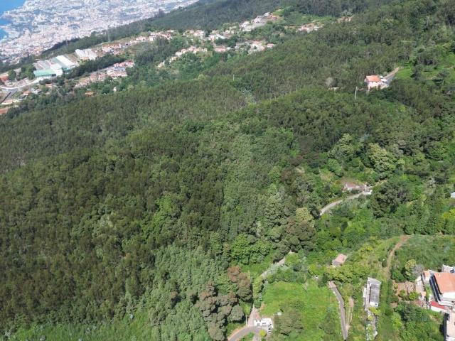 Terreno venda em Achada da Camacha, Santa Cruz